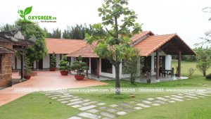 công trình sân vườn