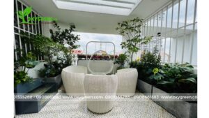 vườn sân thượng