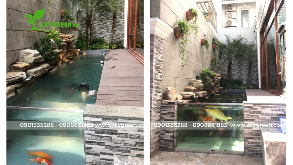 mau thiet ke ho ca koi bang kinh