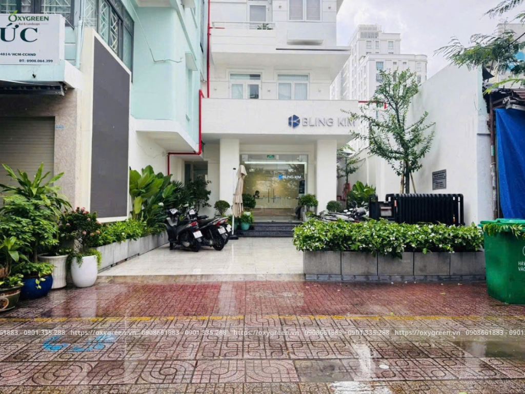 Thi công dịch vụ trồng cây tại công ty cho chị Huyền ở quận 3