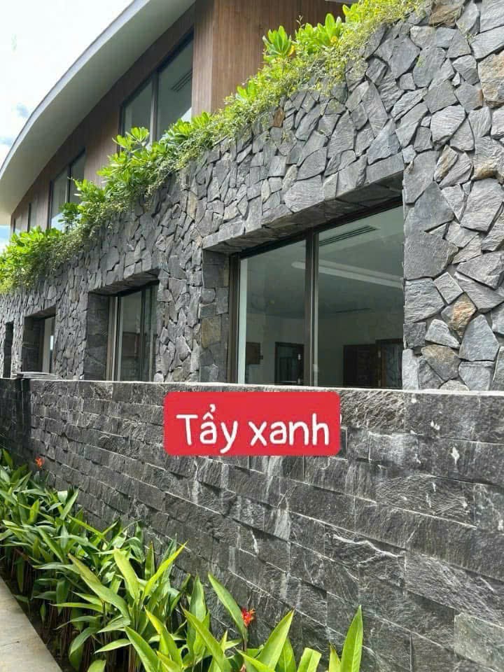 z7238234627848_a143ba1bafe78b18eb9fa1e13867b039