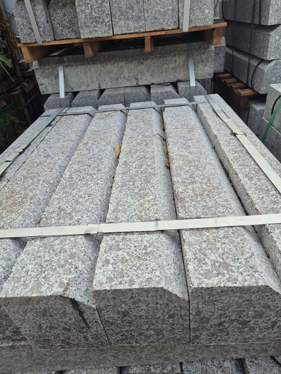 z7284648546088_231b14e371ecfba76b3dbd200ed1d99b