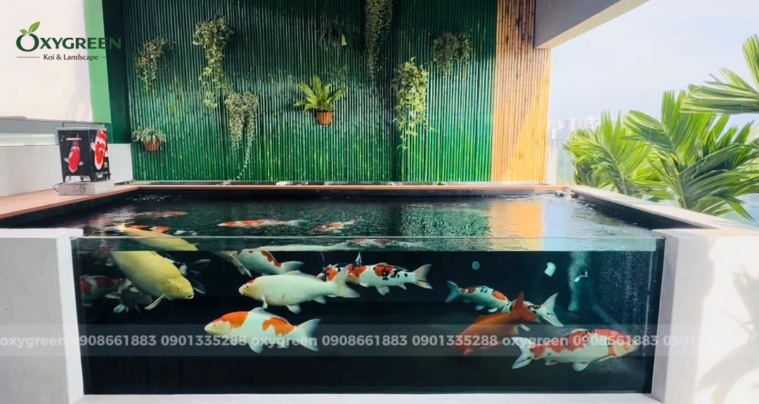 thi-cong-ho-ca-koi-chuan-ky-thuat-quan-2