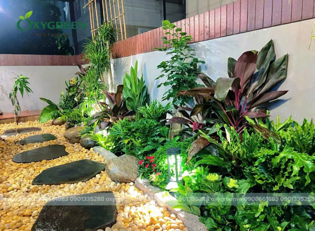 Thiết kế sân vườn nghệ thuật đẳng cấp tại Quận 9