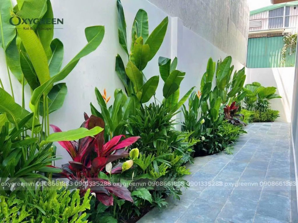 Thiết kế vườn nhiệt đới phong thủy