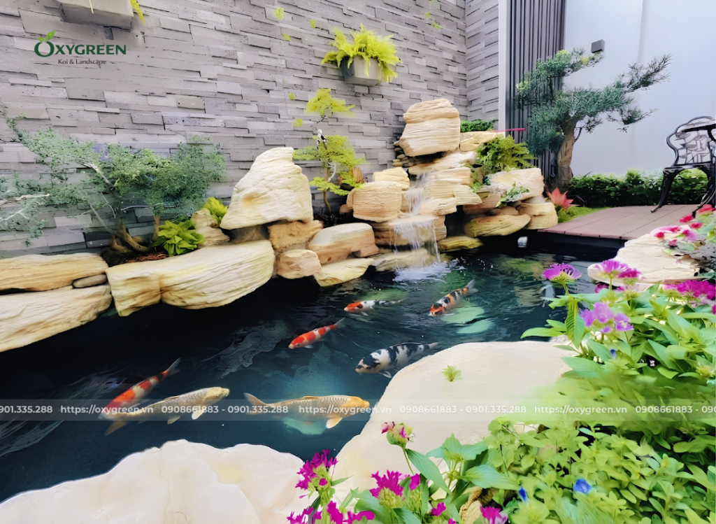 Thiết kế hồ cá Koi nhà phố