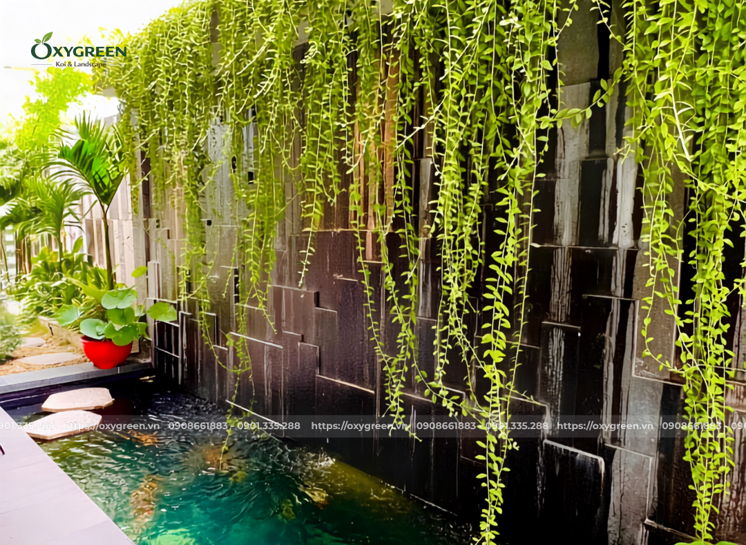 Thiết kế hồ cá Koi nhà phố bán âm