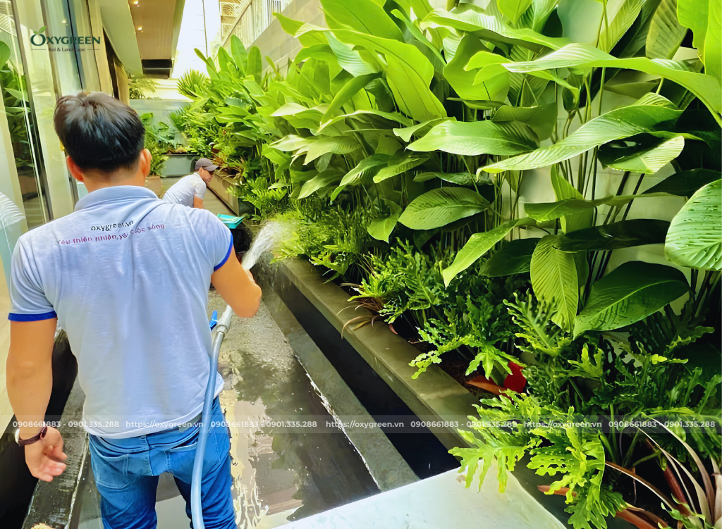 Chăm sóc và bảo dưỡng thiết kế vườn nhiệt đới phong thủy