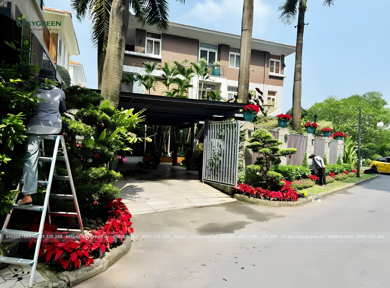 Kỹ thuật cắt tỉa cây cảnh trong thi công sân vườn giá rẻ