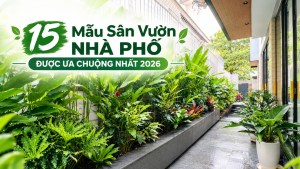 15 Mẫu Sân Vườn Nhà Phố Được Ưa Chuộng Nhất 2026