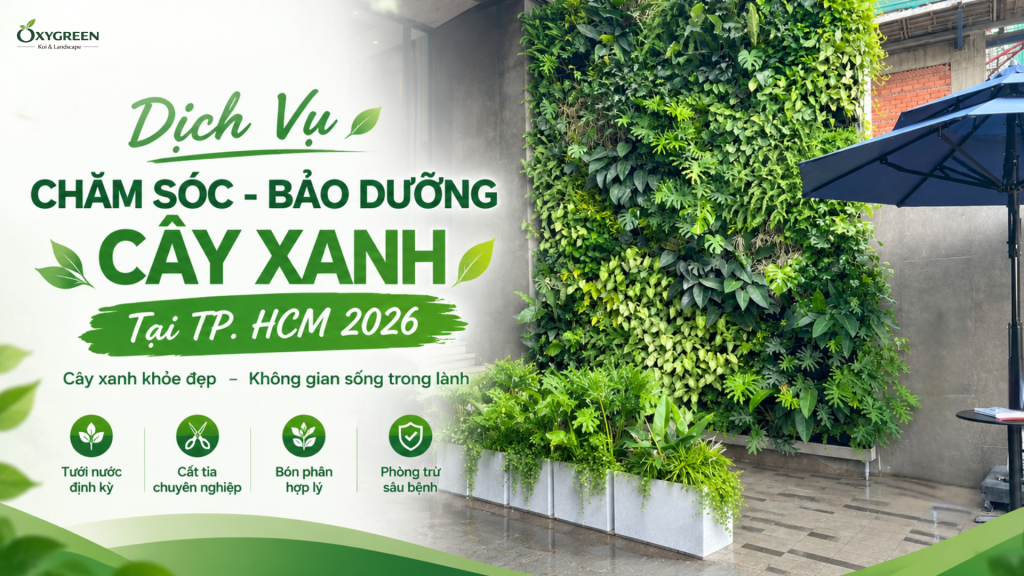 Dịch Vụ Chăm Sóc - Bảo Dưỡng Cây Xanh Tại TP. HCM 2026
