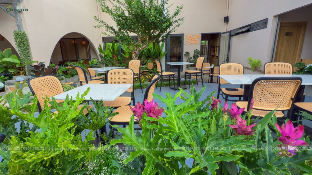 Thiết Kế Cảnh Quan Cafe Vườn Nhiệt Đới: 5 Bí Quyết Thu Hút Khách Hàng
